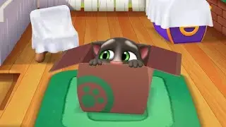 My tom reveal our blue balloon box #funnytommoments #cartoon #talkingtom #mytalkingtom2 