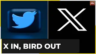 X In, Bird Out: Elon Musk Rebrands Twitter Logo | Musk Says Goodbye To  Iconic Blue Bird Logo