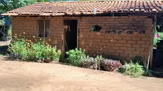 ✨ CANTEIRO DE ROSAS COM PEDRAS FINALIZADO 🌸 | Transformação Linda na Rocinha 💖🌿
