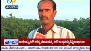 MEDAK FARMERS LOST BY FAKE COTTON SEEDS TS - జైకిసాన్ - 16th November 2015
