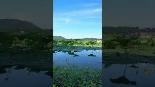 Beautiful Relaxing Music (Piano, Strings, and Nature)