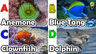ABC phonics animals | ABC Sea Animals song | English and Animals for Kids | Alphabets Kids Song