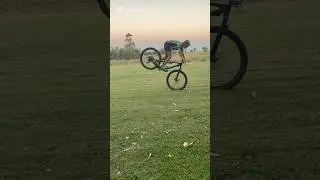 MTB stoppies