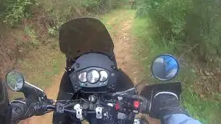 Ruta forestal en Honda Transalp 650 y Kawasaki Klr 650