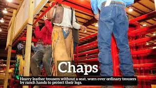 How Does Chaps Look? | How to Say Chaps in English? | What is Chaps?