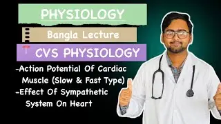 Action Potential Of Cardiac Muscle (slow and fast) | Effect of Sympathetic System| Cvs Physiology