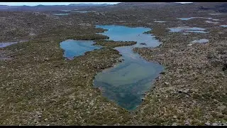 FROG LAKE ,  western lakes Tasmania