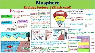 Biosphere | Definition | Components | Importance | Ecology lecture 1 | UG | PG | UPSC