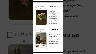Bible Memory Book Scripture Memory System #shorts #shopping #biblememory #scripturememory #books