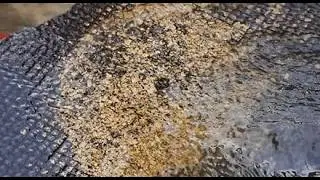 По тихому мою золото минишлюзом в ручье!