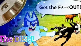Cartoon Bluey Kicking Real Animals OUT of Disney's ANIMAL KINGDOM? The DISH!