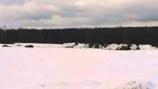 Бородино2 13.03.16