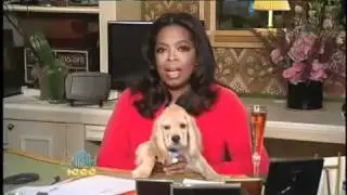 Oprah Congratulates Ellen on 1000 Shows!