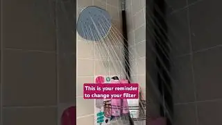 How often should you change your shower head filter?