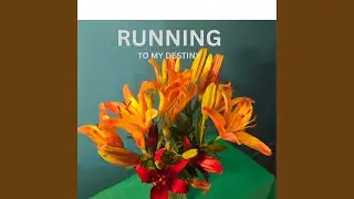 Running To My Destiny