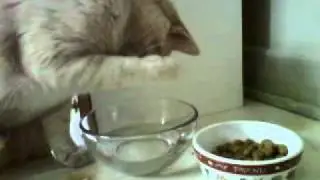 EAU sacr&eacute;e 3.3GP