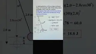 Energy Loss by Friction in Swing