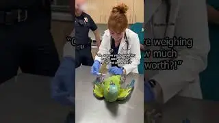 Parrot Thinks He&rsquo;s at a Black-Market Clinic | Savage Roast By Parrot Savage Ai