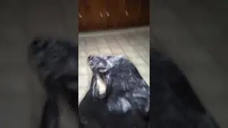 Opening Family Dollar trash bags