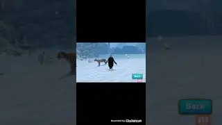 Odcine o leopardah