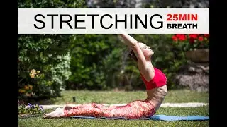Flexibility | 25 Minute Practice | Stretching with Alisa Pleskova