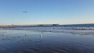 Seal Beach Low Tide 01-10-2020