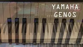 Ands: Instant Quicky Numbers Song (Yamaha Genos, Roland Fantom)