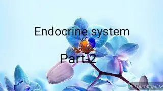 Endocrine system part -2 (in Hindi)