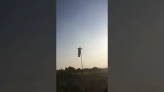 Vulcan Howl and Whine
