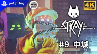 PS5【Stray】第九章：中城｜4K UHD｜部長 Gaming