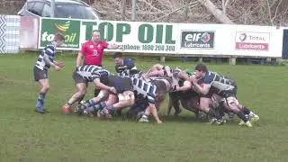 Highlights Vs Dolphin Home
