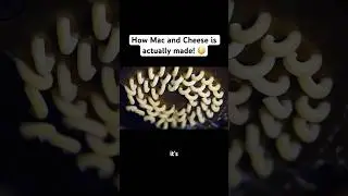 How Mac and Cheese is actually made! 😳 #macandcheese #foodie