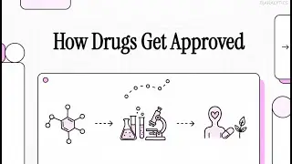 Before Any Drug Exists, This Happens