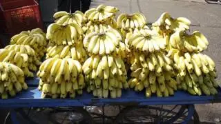 saturday vegetable market