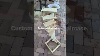 Spiraling Cat Steps.