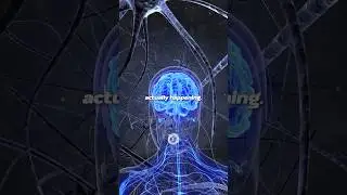 How to reprogram your subconscious mind EFFORTLESSLY | Innertune Affirmations