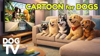 Cartoons for Dogs to Watch – Soothing Video Entertainment for Home Alone Dogs | Dog TV