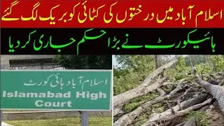 Islamabad High court stopped tree cutting in capital