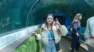 Sea Life View
