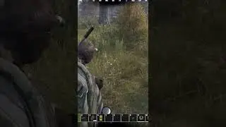 100% СПОКОЙСТВИЯ  #dayz #stalkerrp #stalker #dayzrp #сталкер