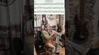 Sch&ouml;nfeld Marsch - Schnapp das Tenorhorn und spiel mit! #Bariton #Marsch#Tenorhorn Solo