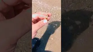 Metal Detecting &ndash; Lost Ring Unearthed! #bestmetaldetector #metaldetecting