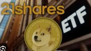 👉BONNE NOUVELLE POUR L'ECOSYST&Egrave;ME DES MEMECOIN: ETF DOGECOIN APPROUV&Eacute; 👏