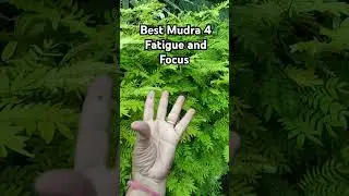 Best Mudra for Fatigue tiredness-and low Energy imprices Focus Try 5 min daily #antiaging #mudra