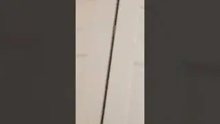 My android zoom