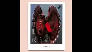 DGonchi - CATALINA