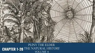 The Natural History Vol. 4 🎧 Ancient Roman Science | Pliny