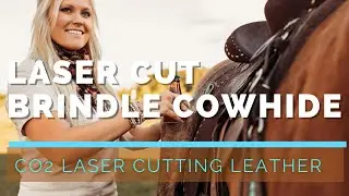 Laser Cut Leather Cowhide saddle accessories