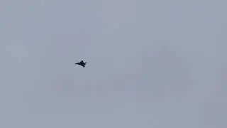 Fms 80 Rafale turbine convrsion   DIY vectored thrust