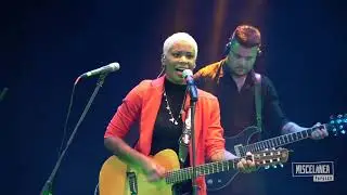 Um Am&ocirc; Canta Mulheres - Miscel&acirc;nea Popular (4&ordf; Edi&ccedil;&atilde;o, Niter&oacute;i, 2020)